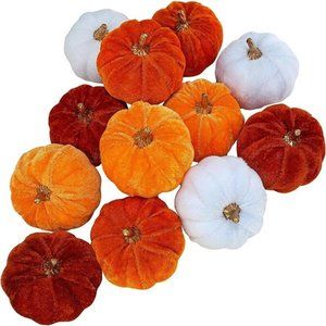 12 Pcs Assorted Small Harvest Faux Velvet Pumpkins for Halloween